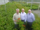 L-R Paul Masters, Neville Stein and Andrew Staff